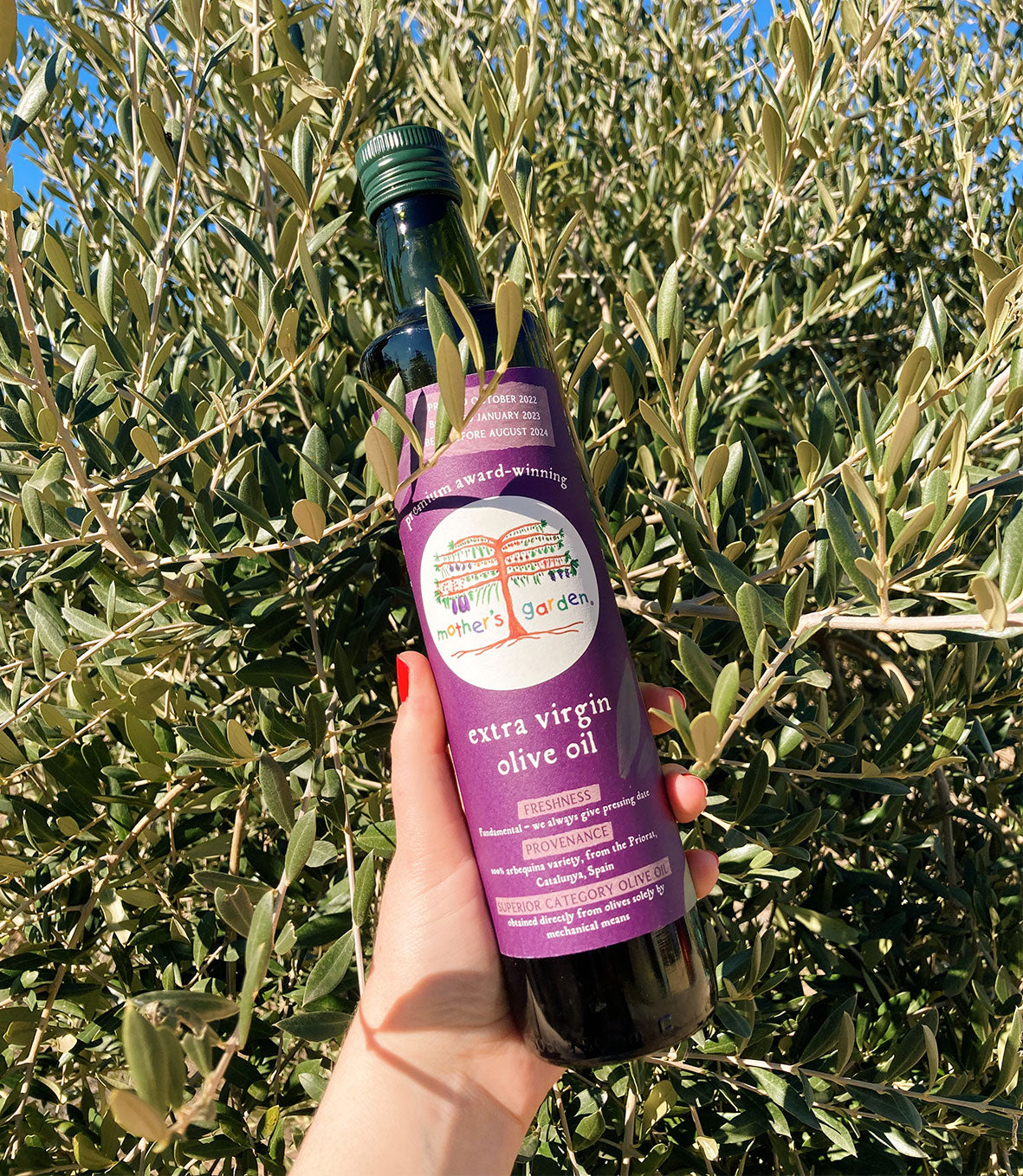 bottle of mother's garden extra virgin olive oil held up in sunshine against backdrop of olive leaves